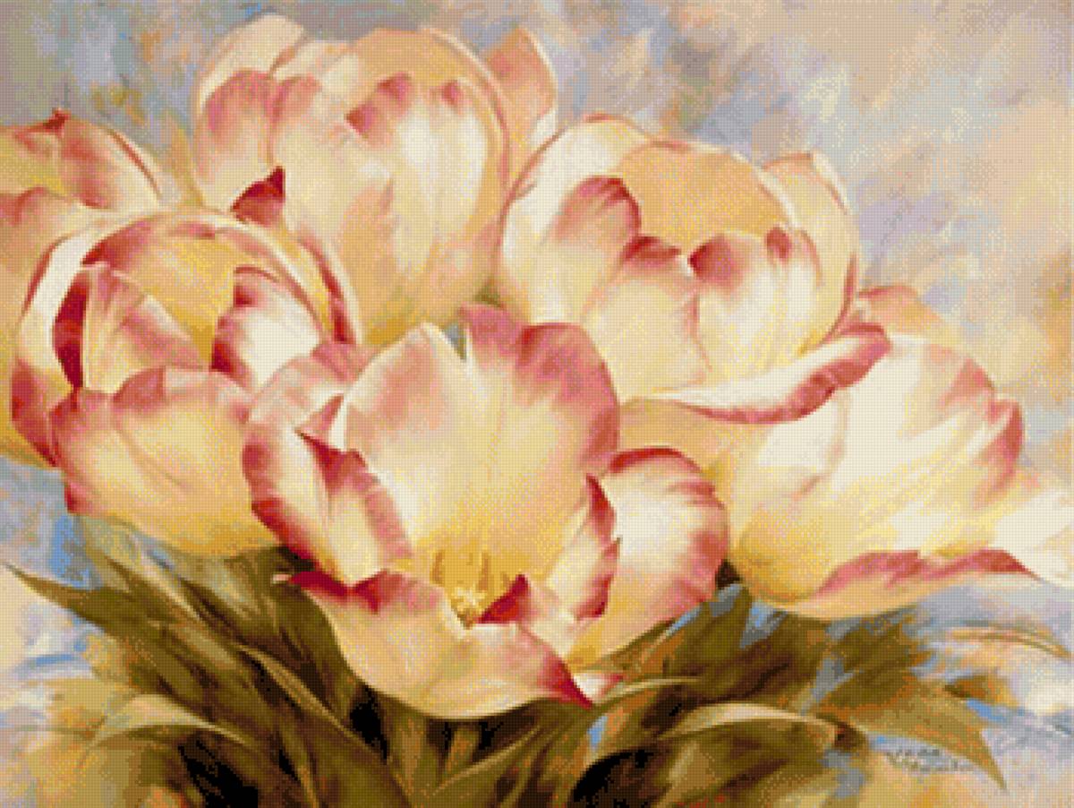 tulipany - предпросмотр