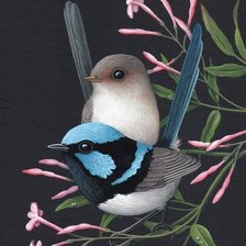 Схема вышивки «Casal de pássaros.»