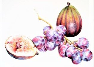 Figs and black grapes-australian flowers - натюрморт - оригинал