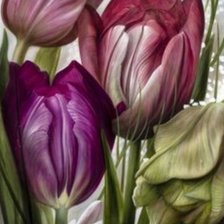Схема вышивки «tulipanes lop 1»