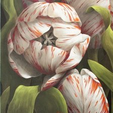 Схема вышивки «tulipanes combinados»