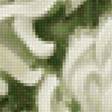 Предпросмотр схемы вышивки «Хризантемы» (№2363676)