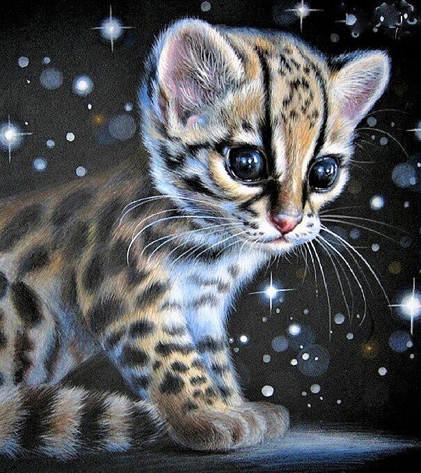 Small jaguar - животные - оригинал