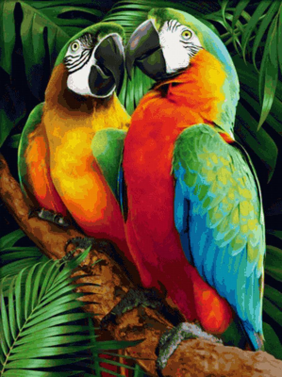 Попугаи Ара - желтый, разноцветный, два, ара, красный, тропики, попугаи - предпросмотр