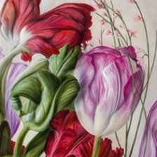Схема вышивки «Tulipanes lot»