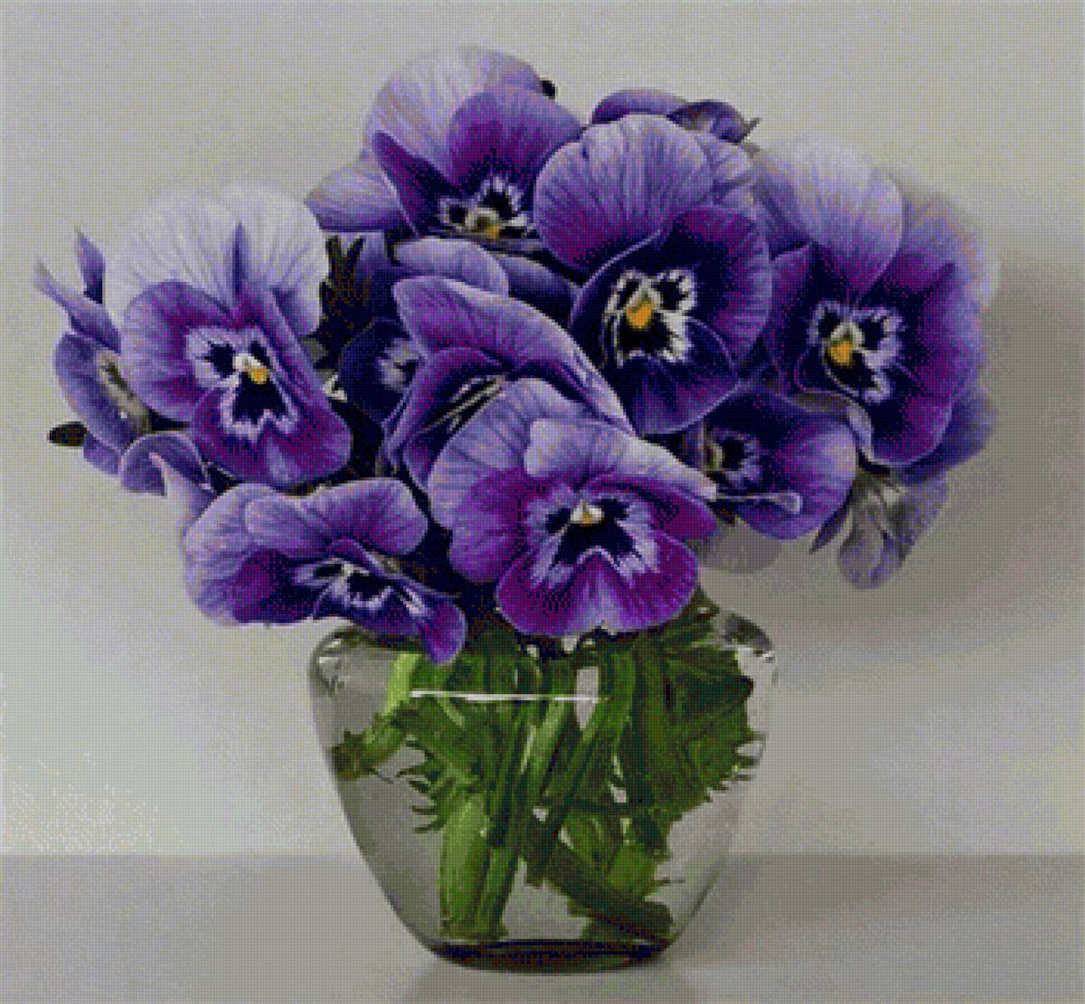 Анютины глазки - фиолетовый, цветы, анютины глазки - предпросмотр