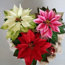 Схема вышивки «пуансеттия цветок»