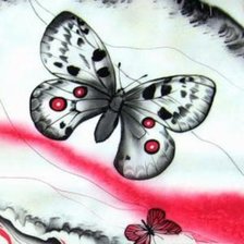 Схема вышивки «Бабочка аполлон рисунок»