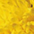 Предпросмотр схемы вышивки «Желтые хризантемы» (№2385098)