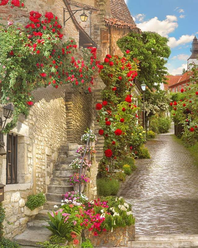 Улица в цветах - улица, розы, старый город, цветы - оригинал