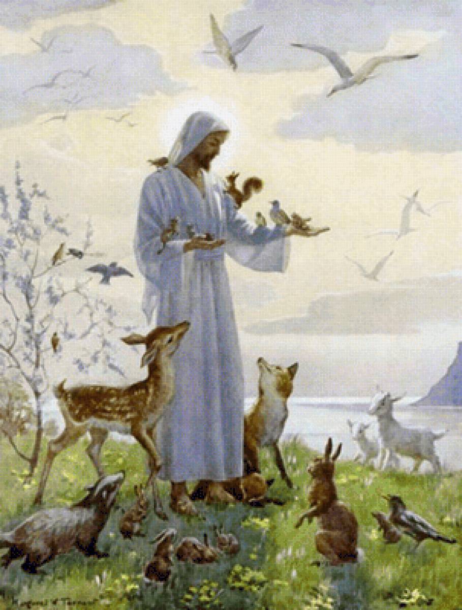 Иисус Христос с животными, с птицами. - предпросмотр