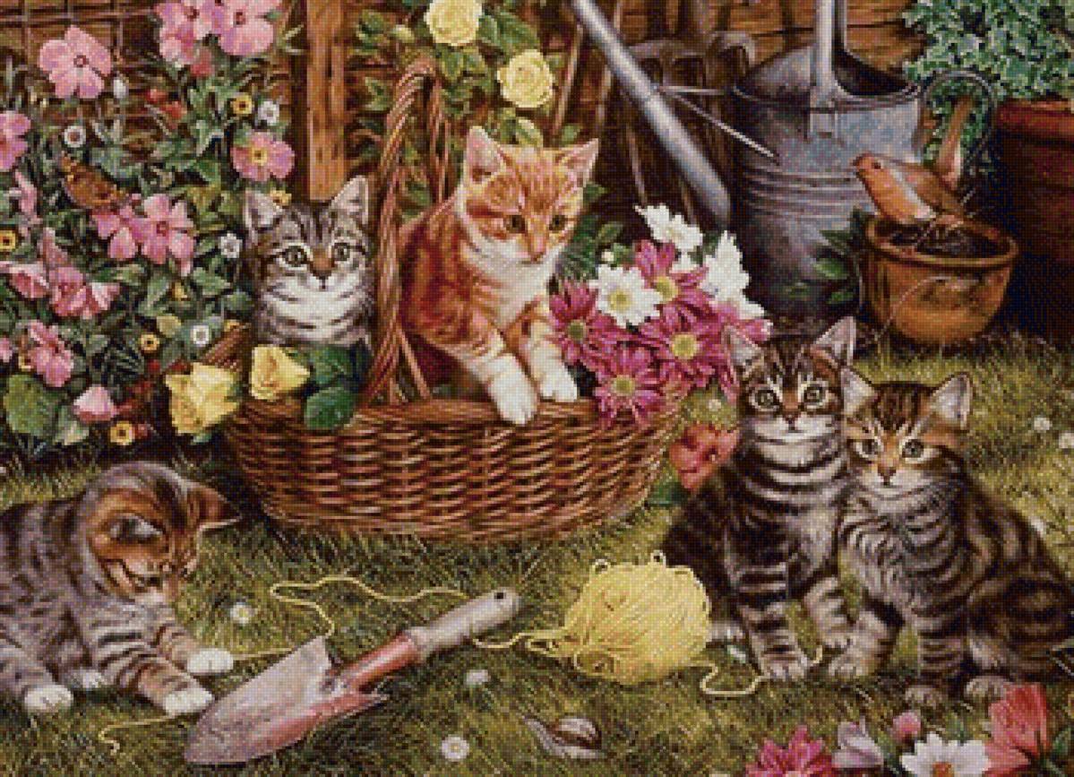 Котята во дворе - корзина, котята, цветы - предпросмотр