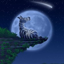 Лунная зебра
