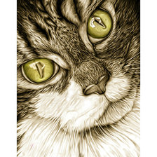 Оригинал схемы вышивки «Графический портрет кота» (№2392317)