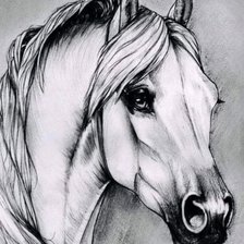 Оригинал схемы вышивки «Лошадь» (№2394416)