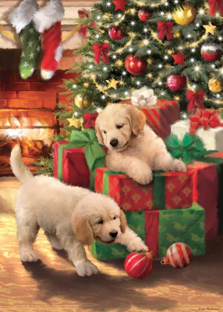 perros con regalos en navidad - navidad - оригинал