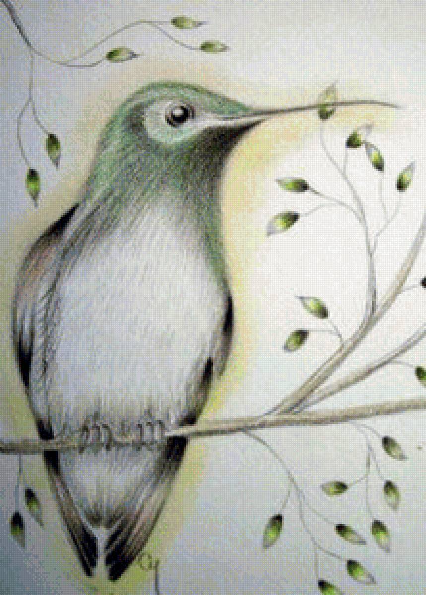 Птичка карандашом - птица, ветка, рисунок - предпросмотр