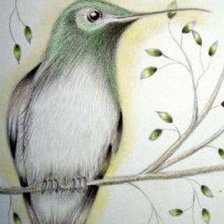 Оригинал схемы вышивки «Птичка карандашом» (№2397052)