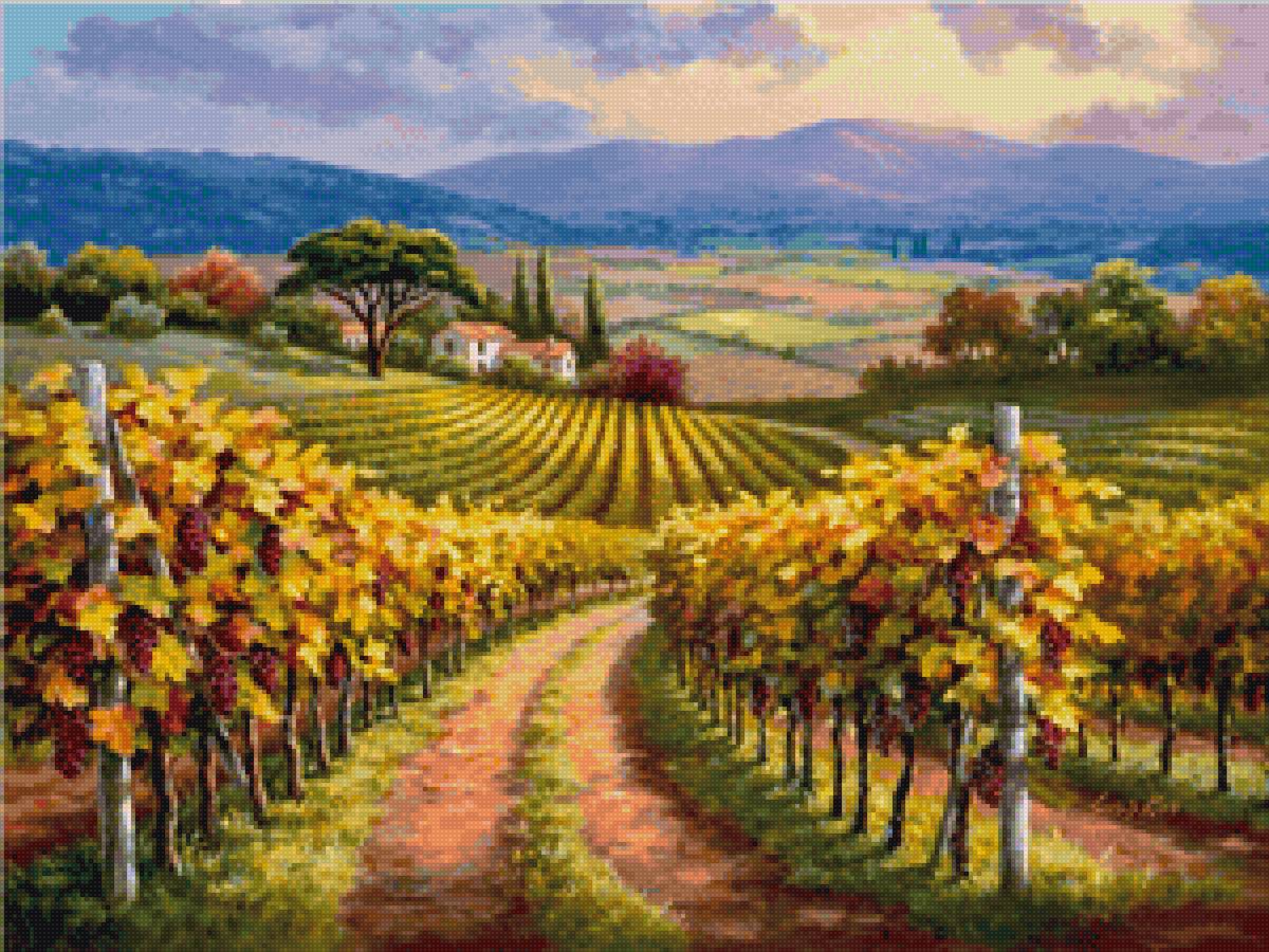 Виноградник - виноград, пейзаж, вино, романтика - предпросмотр