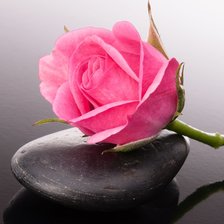 Схема вышивки «роза на камне»