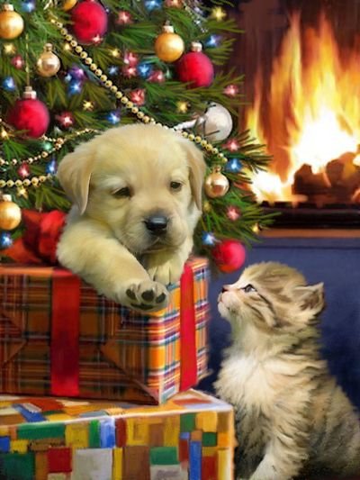 Новый год - котенок, елка, рождество, щенок - оригинал