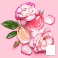 Схема вышивки «Розовые духи»