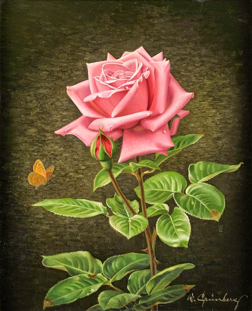 Роза розовая - бабочка, роза - оригинал