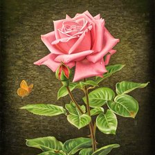 Схема вышивки «Роза розовая»