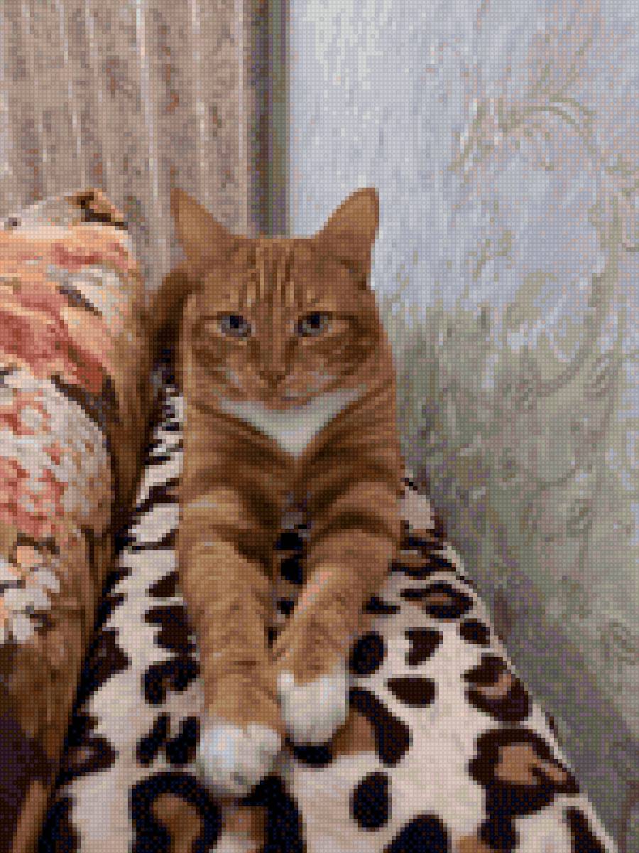 Сурфик - рыжий кот, любимчик, кот - предпросмотр