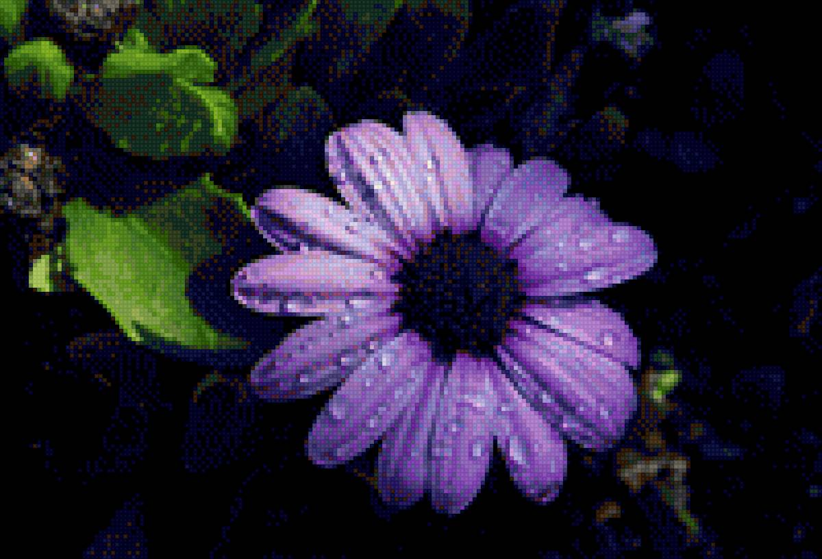 Цветок - цветочек фиолетовый сиреневый - предпросмотр