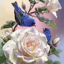 Оригинал схемы вышивки «синие птицы в розах» (№2436001)