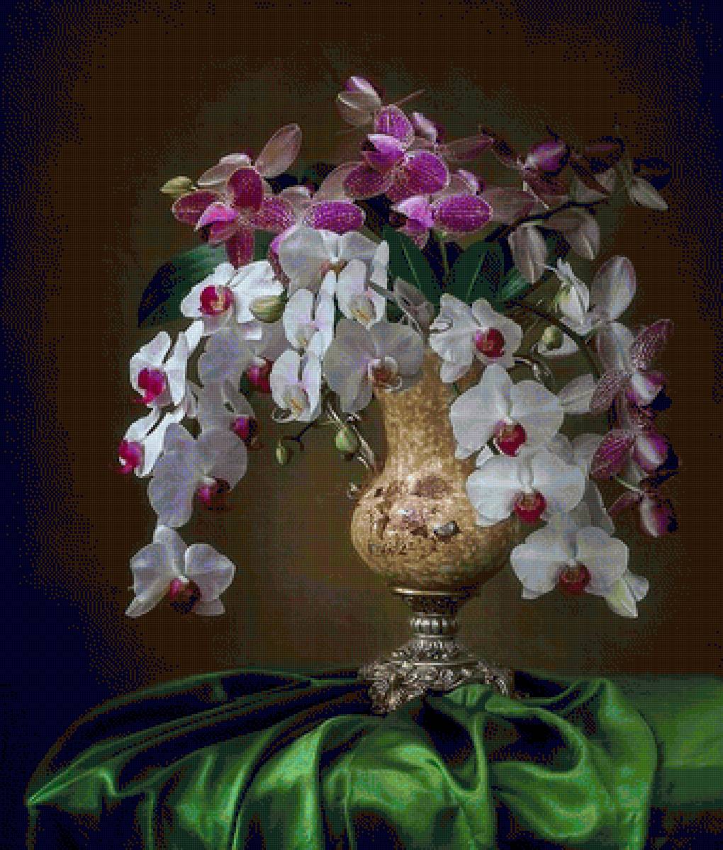 №2437160 - orchid flower by daykiney on deviant - предпросмотр