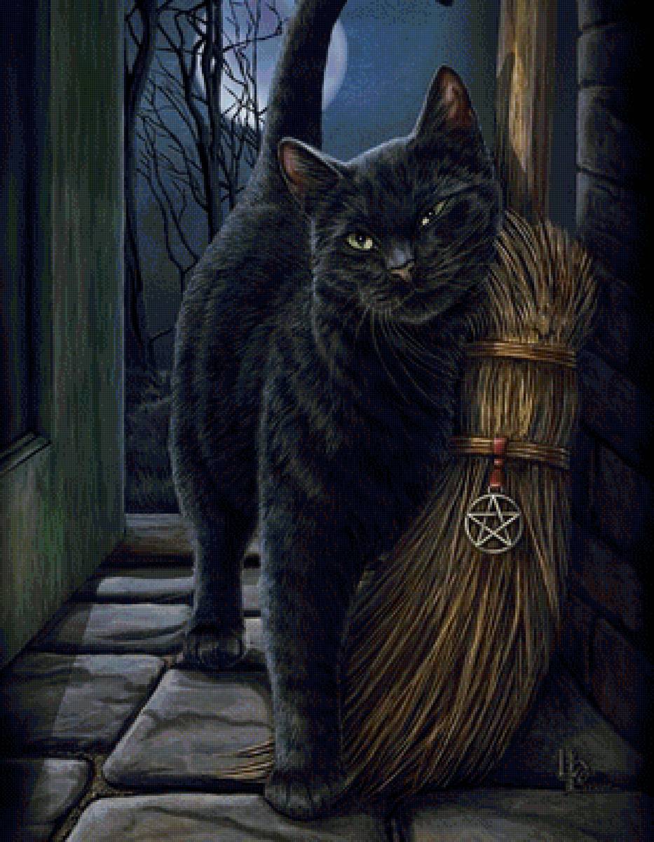 Ведьмин кот - черный кот, ведьма кот, фамильяр, кот - предпросмотр