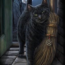 Ведьмин кот