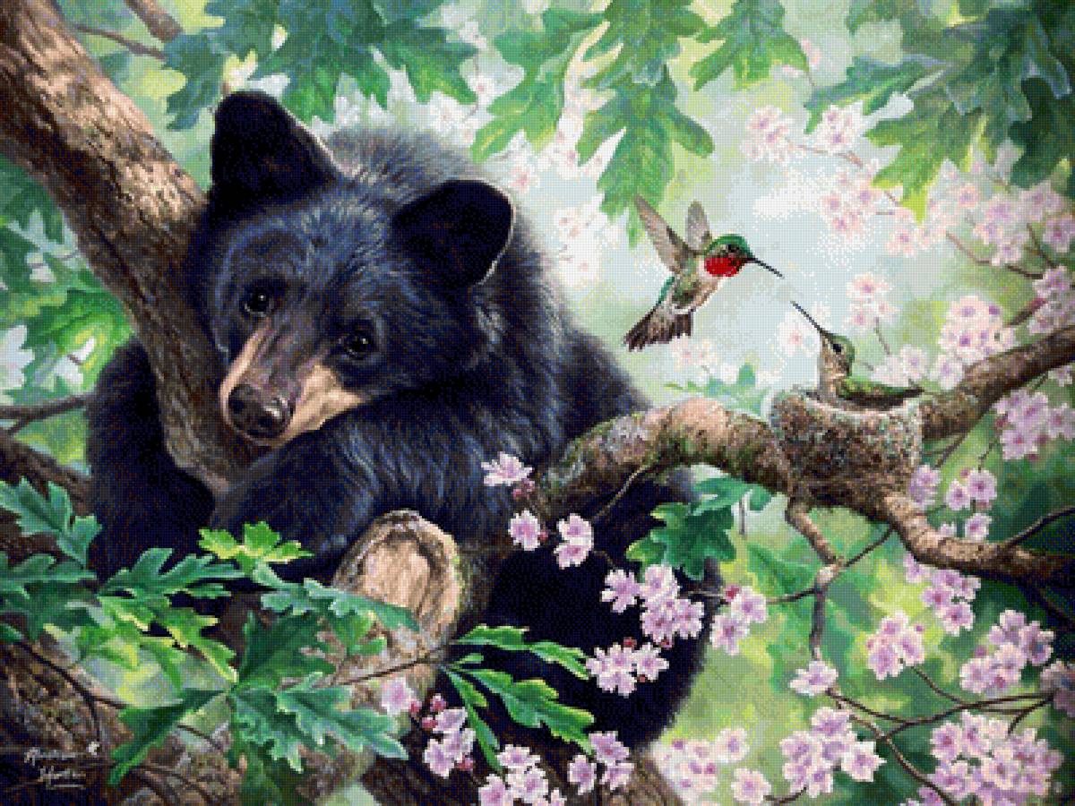 медвежонок - животные - предпросмотр