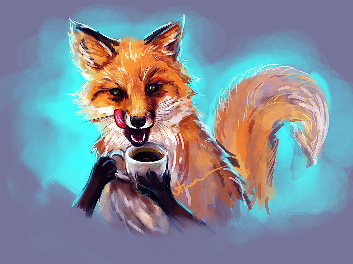fox & coffe - оригинал