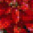 Предпросмотр схемы вышивки «Новогодняя пуансетия» (№2456845)