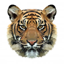 Схема вышивки «тигрр»