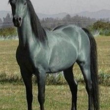 Схема вышивки «Серая лошадь»