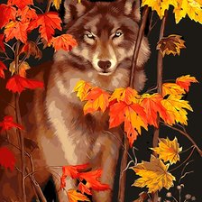Волк и осень