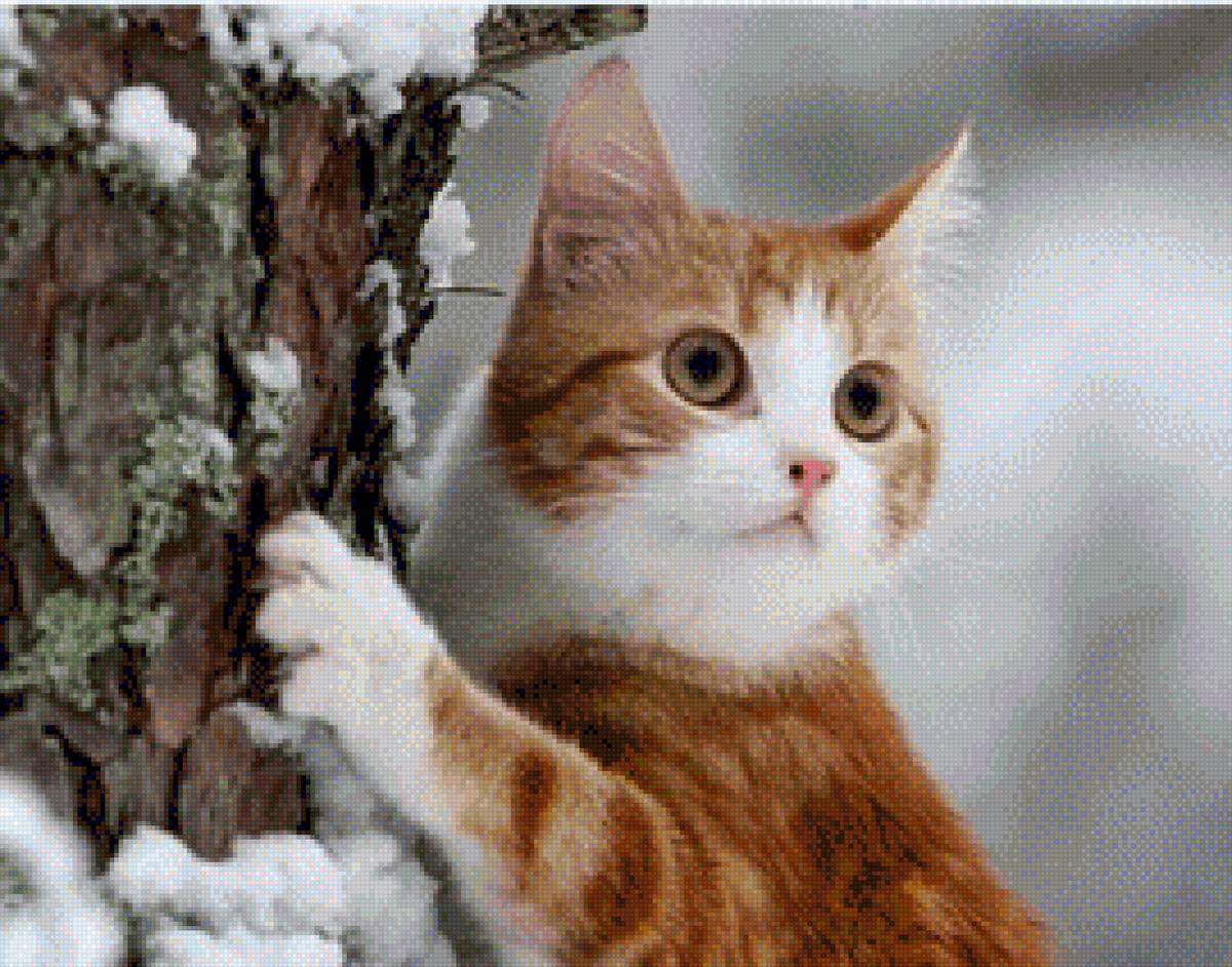 На прогулке:) - кот, милый, снег, котики, зима, животные - предпросмотр