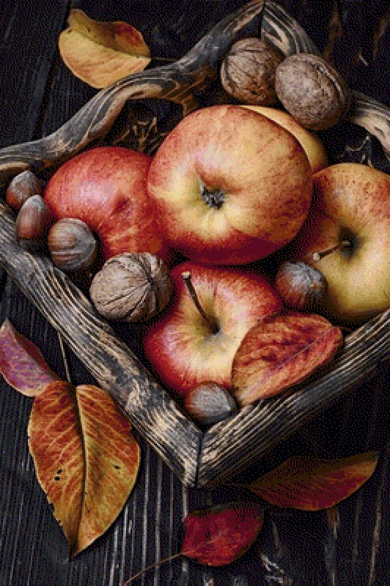 Осенние яблоки - натюрморт, фрукты - предпросмотр