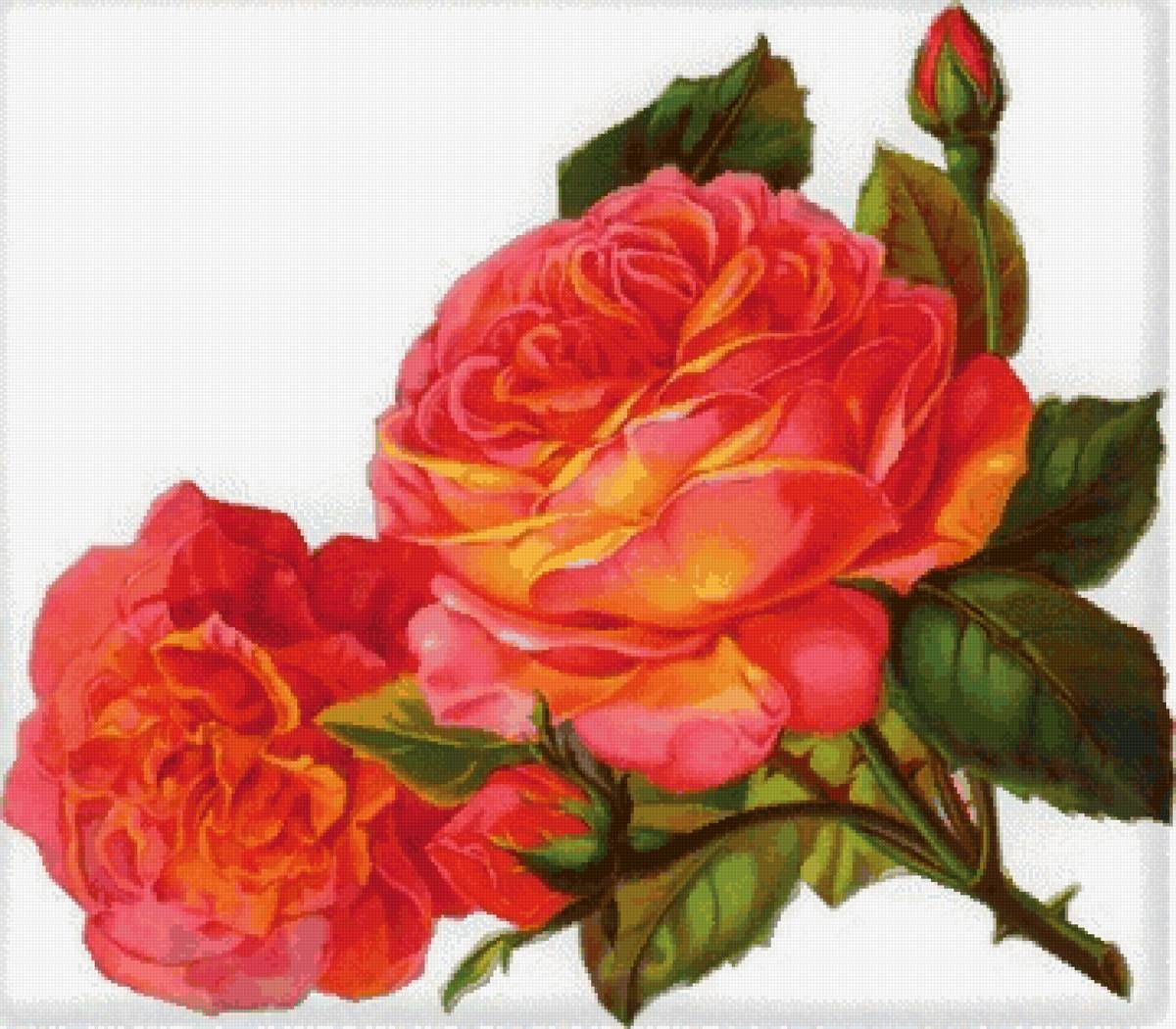 Роза - цветочный декор - предпросмотр