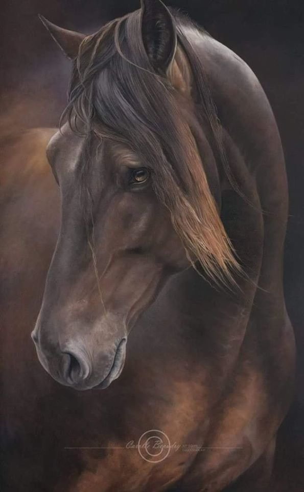 портрет гнедого - лошадь, художники, животный мир, лошади, животные - оригинал