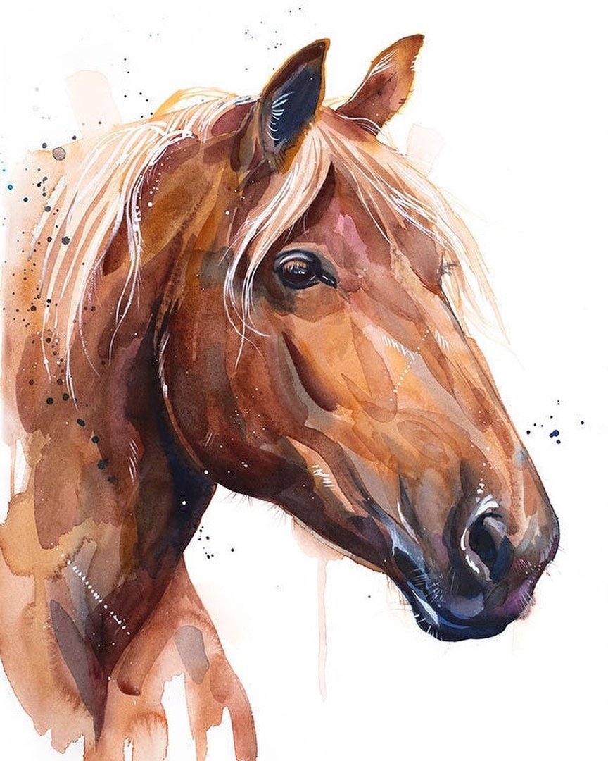 лошадь в акварели - животный мир, лошадь, животные, художники, лошади - оригинал