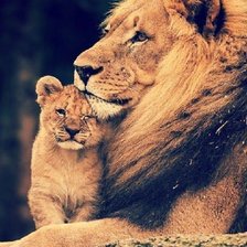 Схема вышивки «Лев и львёнок»