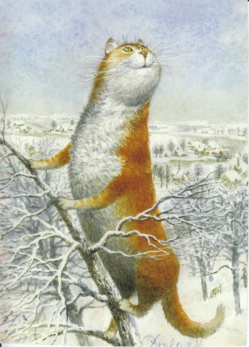 Кот зимой - питерские коты, коты румянцева - оригинал