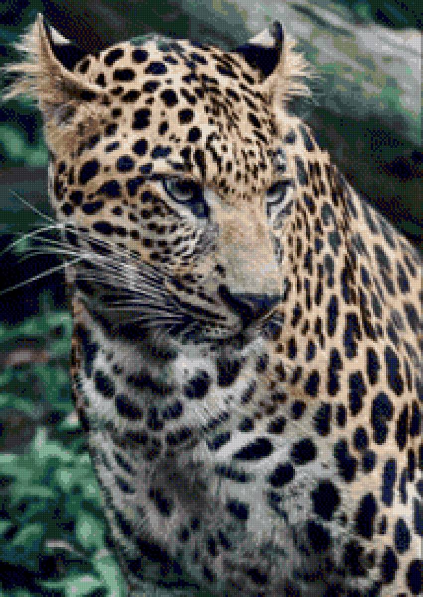 Большая киса - леопард, экзотическая кошка - предпросмотр