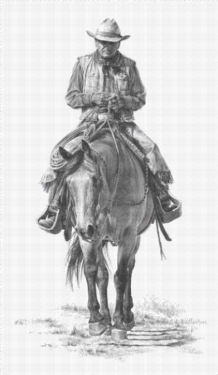 ковбой - лошадь, художник, животное, человек, всадник - предпросмотр