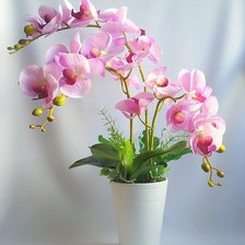 Схема вышивки «Орхидея в горшке»